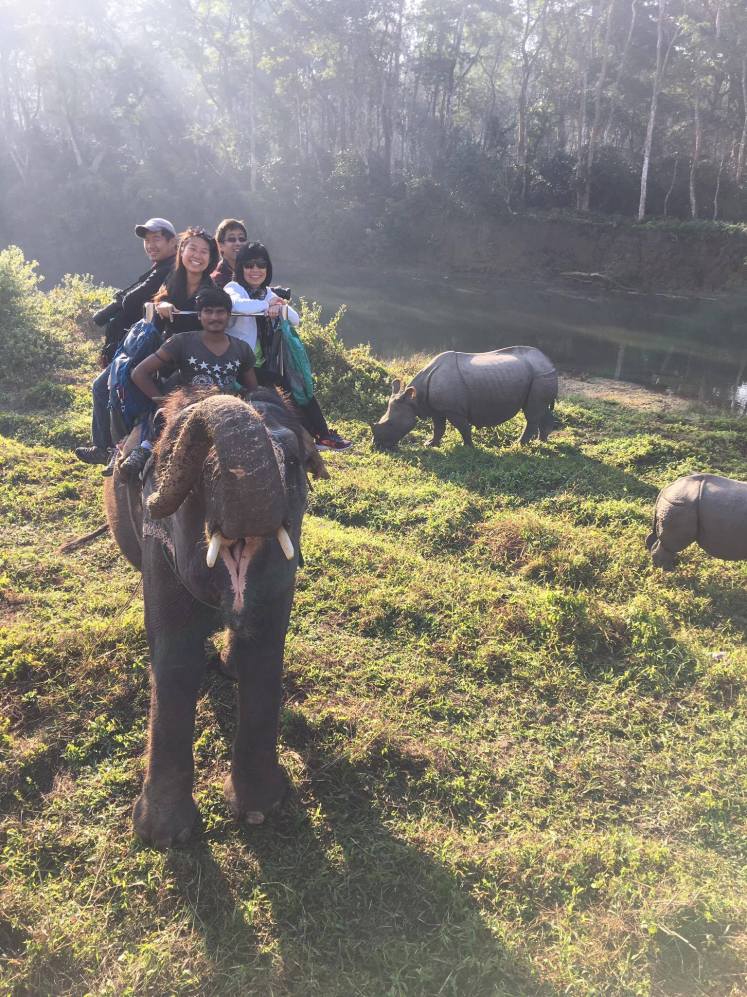 15785788_1335912179763939_49357132_o